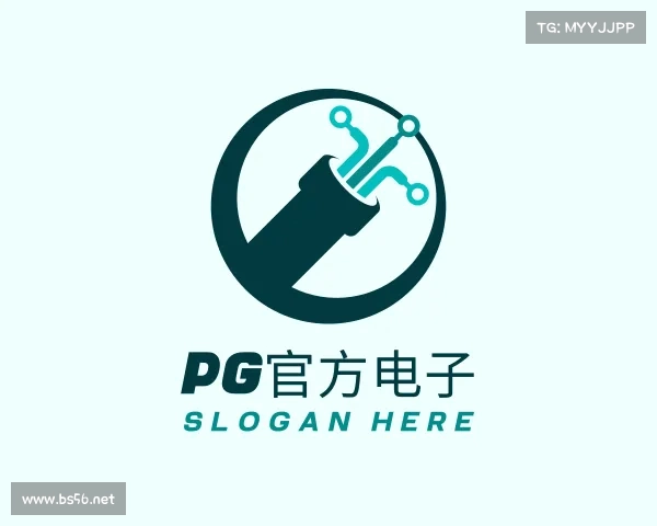 认识PG官方电子